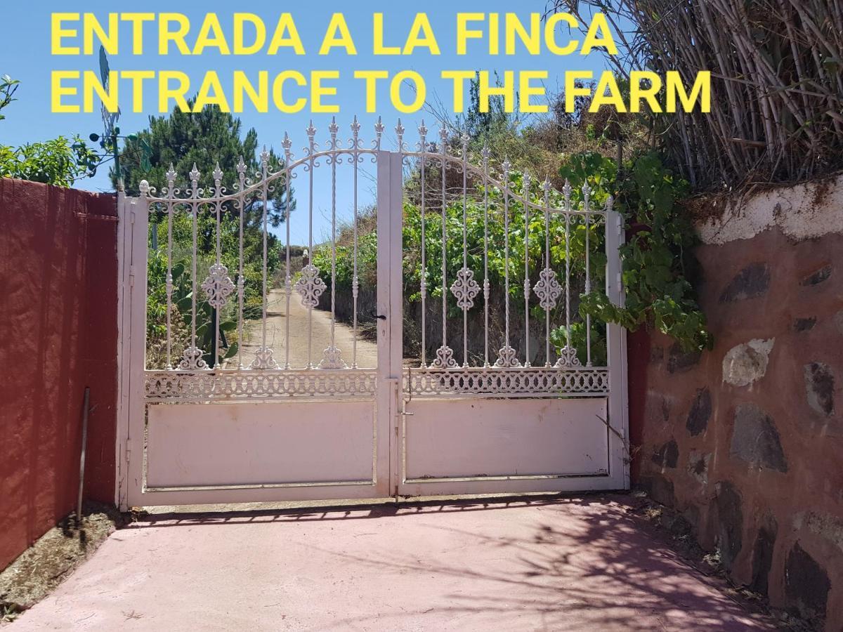 Finca Rural Torres Casas 1 Y 4 Bed & Breakfast Vega de San Mateo Exteriör bild